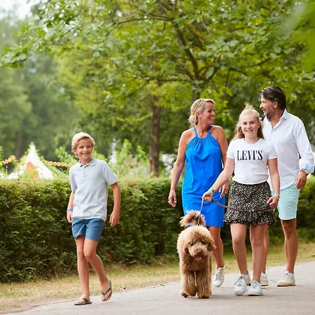Forest 6 Persons #1212 Holiday home Maasbree